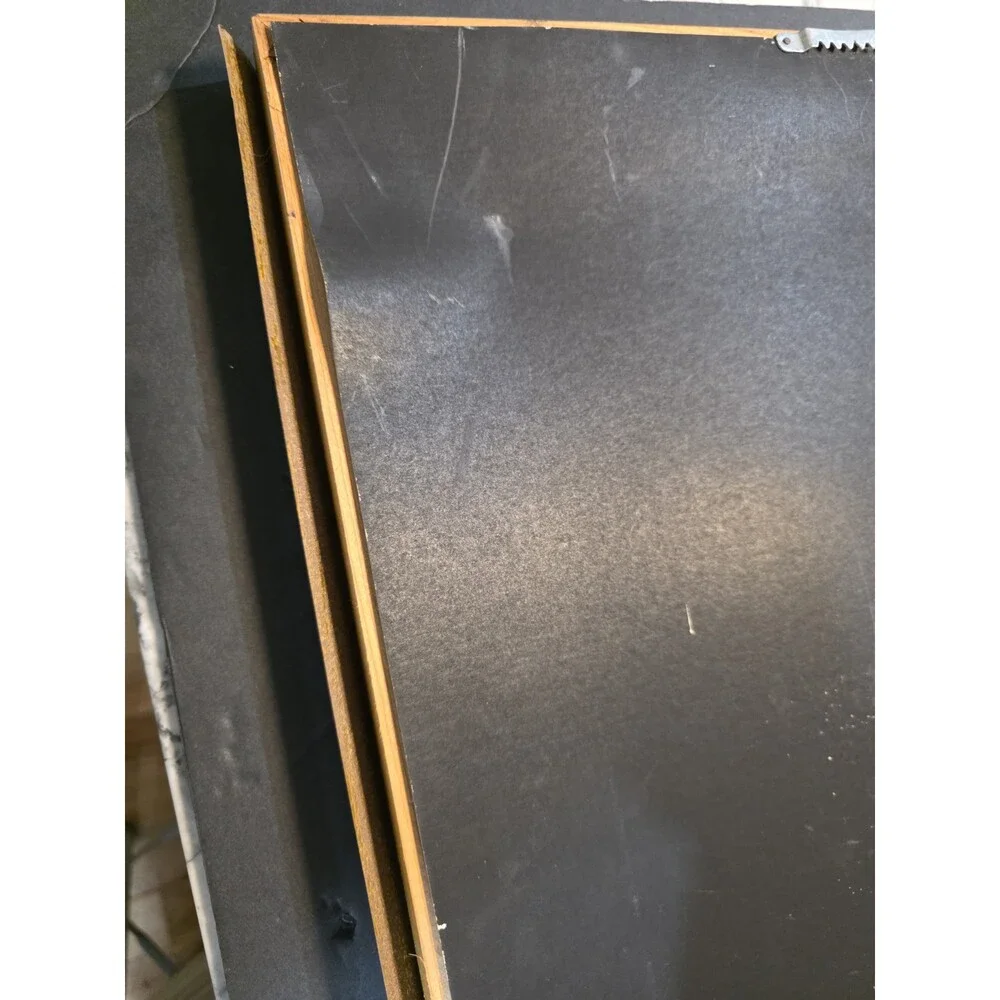 Vintage Sir Mix A Lot Swass Certified RIAA Gold Sales Award Plate Blank Presenta